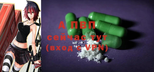 хмурый Белокуриха