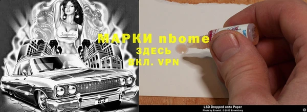 хмурый Белокуриха