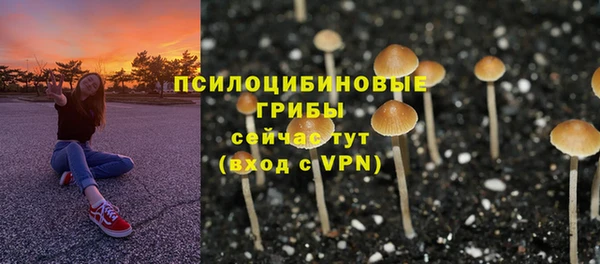 ECSTASY Баксан